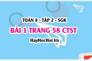 Bài 1 trang 58 Toán 8 Tập 2 Chân trời sáng tạo